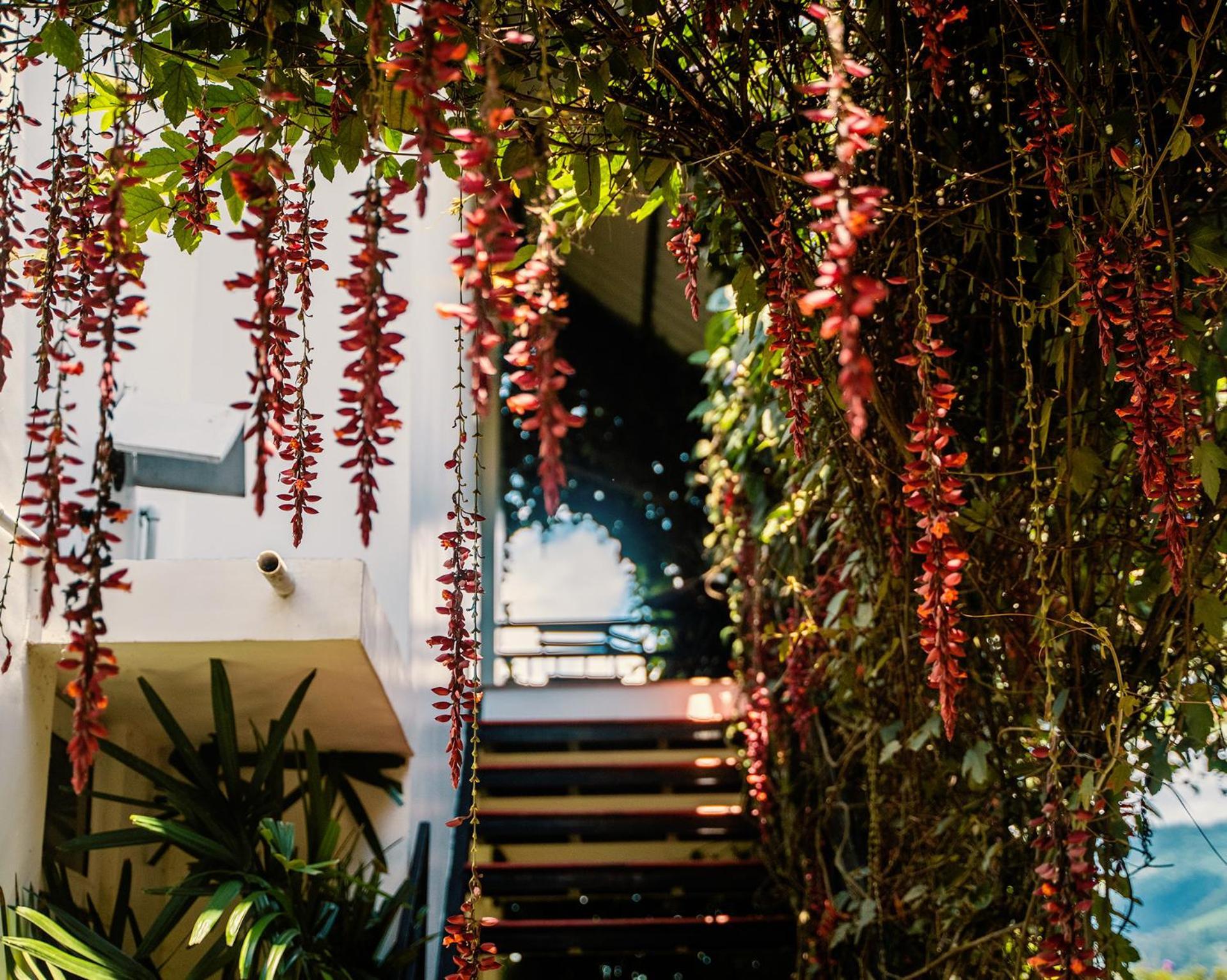 The Leaf Munnar Exterior foto